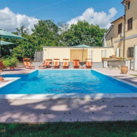 B&B La Magnolia Bassano in Teverina Экстерьер фото
